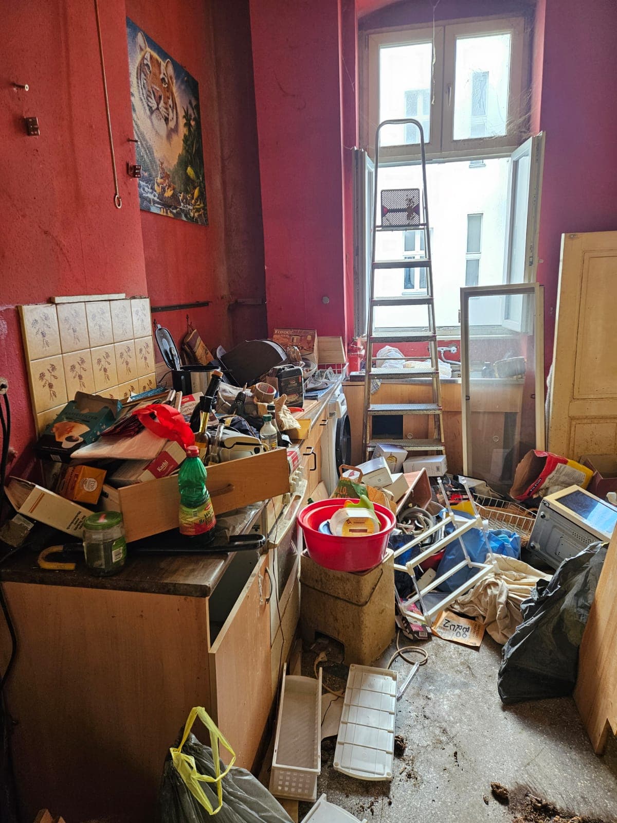 Transporter von Schnell & Sicher